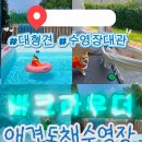 아주 오래된 기억이지만 여전히 좋은 추억으로 남은 대형견 독채 수영장 바크라우더