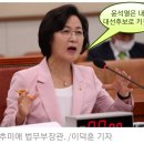 윤석열을 대통령 만든 추미애와 심상정 이미지