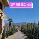 카페로드 - 남동구 장승남로 66 | 카페로드
