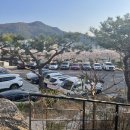 인동35길-2 이미지