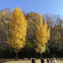 어반스케치(중급) 이미지