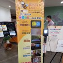 꿀벌랜드 이미지