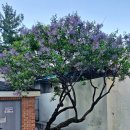 남산3동 행정복지센터 이미지