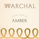 뉴(NEW)육감 | NEW ERA 워첼 엠버 2.0