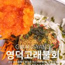 영덕고래불회 이미지