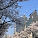 프로파일 커피 로스터스