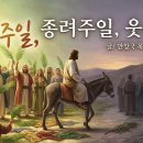 종려주일, 웃픈 날 이미지