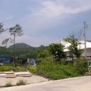 평송단월주유소 이미지