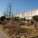 완도신지중학교 이미지