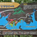 선거보건진료소 티스토리