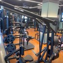 바디플레이스 이미지