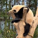 28245-03-07-001 | <안녕, 푸야> 중국비자 직접 신청 5분!