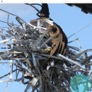 모란팜약국 이미지