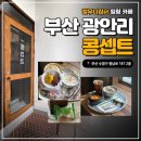 광안리 카페 애견동반 가능한 콩셉트 후기