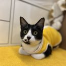 식빵공장 이미지