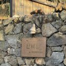 자미자미 스테이 이미지