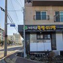 지지명품 | 제주 명품 쑥보리빵 솔직 후기｜직접 먹어본 찐리뷰