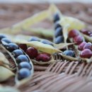 양대농장 이미지