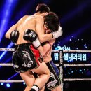 팀엑스짐 이미지