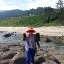 익금해수욕장2 이미지