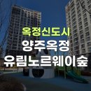 유림노르웨이공인중개사사무소 | 옥정신도시 아파트 시리즈 ⑲ | 양주옥정 유림노르웨이숲 / 옥정로또부동산