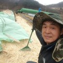 베리베리팜 이미지