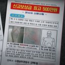 2003년 강원도 인제 31번 국도 광치령 토막 살인 사건 이미지