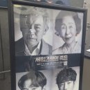 도전세일즈맨 | 250517. 연극 <세일즈맨의 죽음> 관람