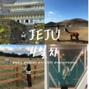 동진목장 이미지