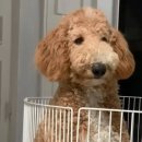 구로종합동물병원 이미지