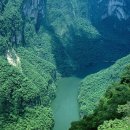 숲속풍경 이미지