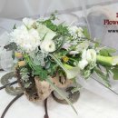 릴리플라워 이미지