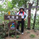 강원특별자치도 영월군 주천면사무소 Daum카페