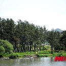 변*송