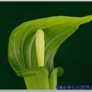 달맞이펜션 이미지