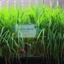 솔향기어린이집 이미지