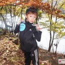 솔빛길유치원 이미지