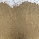 스타벅스 앞 이미지