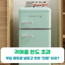 쿠잉 레트로 냉장고, 핫한 &#39;진짜&#39; 이유