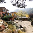 황토식당 이미지