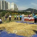 수영강변 이미지