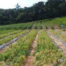 정준근농장 이미지