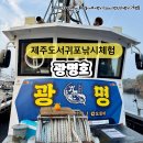 후크선장과 바다낚시 | [제주도] 서귀포 배낚시 체험 초보도 할 수 있는 갑오징어 낚시 후기