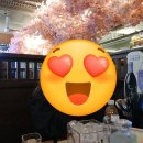 쿠마오뎅 | 방글엄마와 벚꽃엔딩, 안암 일식당에서 데이트 쿠마라고 안암? 타다끼와 우동과 함께 일품의맛 배민...