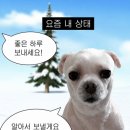 정원정미소 네이버블로그