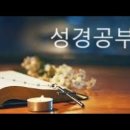 부활의 열매 2026.4.5. 주일예배 이미지