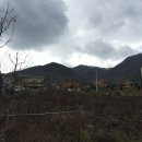 순천-74호 이미지