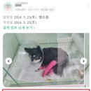 하나로동물병원 이미지