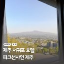 강경림끄리슈나요가 | 제주 서귀포 호텔 추천 가성비 있게 예약한 한라산뷰 파크선샤인 제주