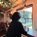 합천이모 이미지